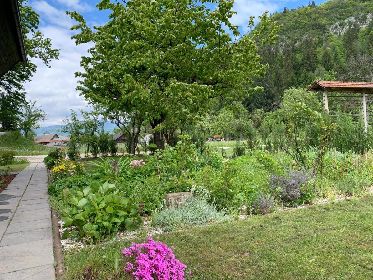 Villa Entire House Iris & Arnika Bled Exterior foto