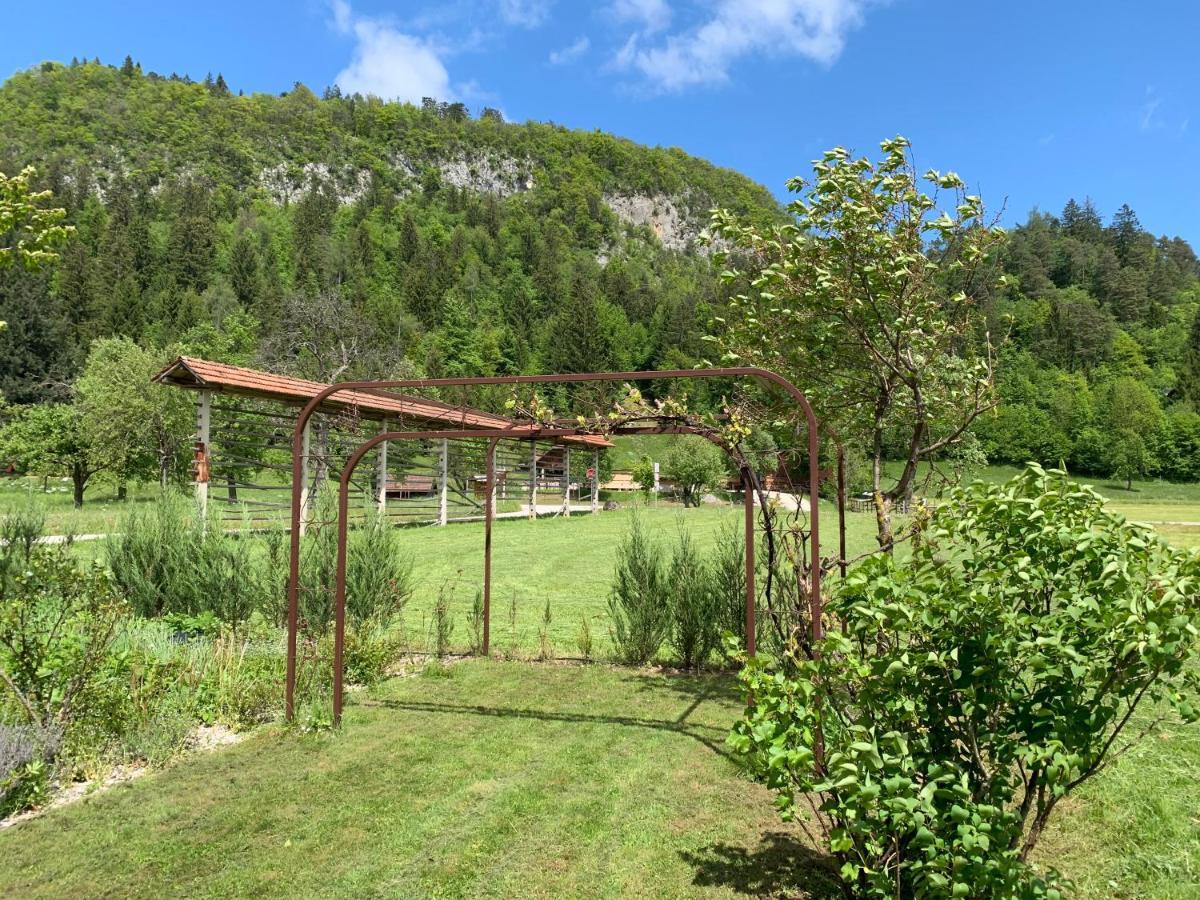 Villa Entire House Iris & Arnika Bled Exterior foto